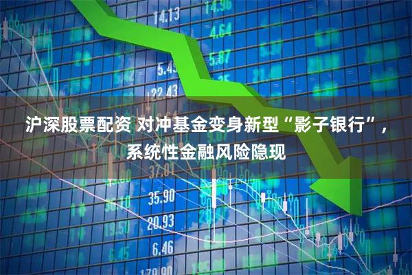 沪深股票配资 对冲基金变身新型“影子银行”，系统性金融风险隐现