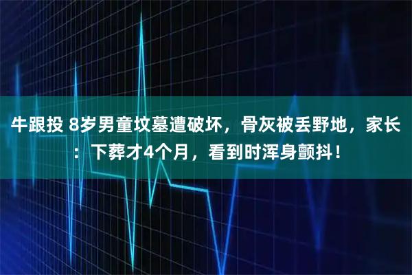 牛跟投 8岁男童坟墓遭破坏，骨灰被丢野地，家长：下葬才4个月，看到时浑身颤抖！