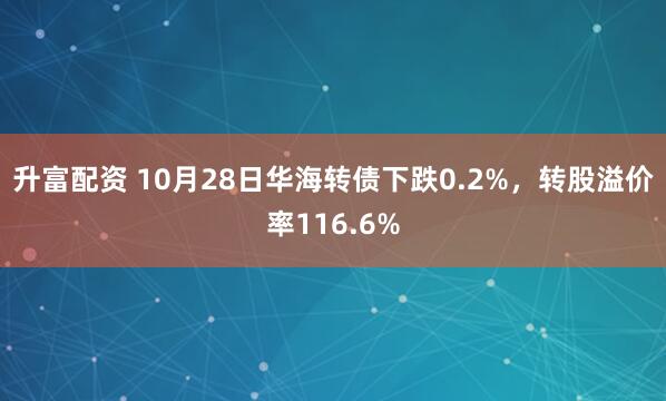 升富配资 10月28日华海转债下跌0.2%,转股溢价率116.6%