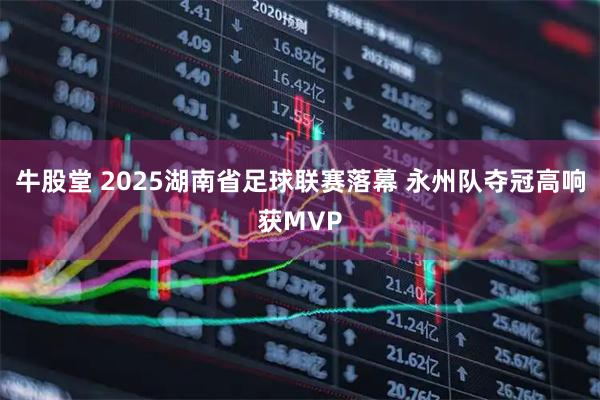 牛股堂 2025湖南省足球联赛落幕 永州队夺冠高响获MVP