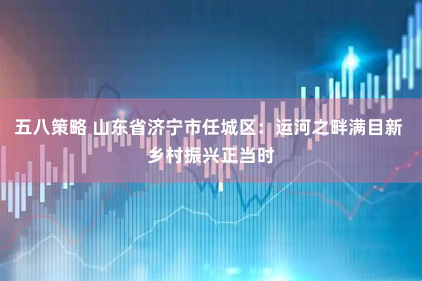 五八策略 山东省济宁市任城区：运河之畔满目新 乡村振兴正当时